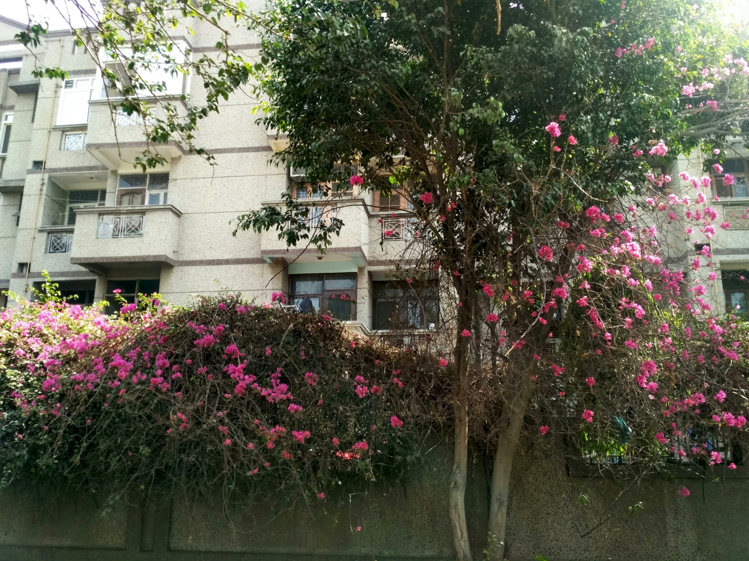 Century Mirai, 2 to 4 BHK in Marathahalli