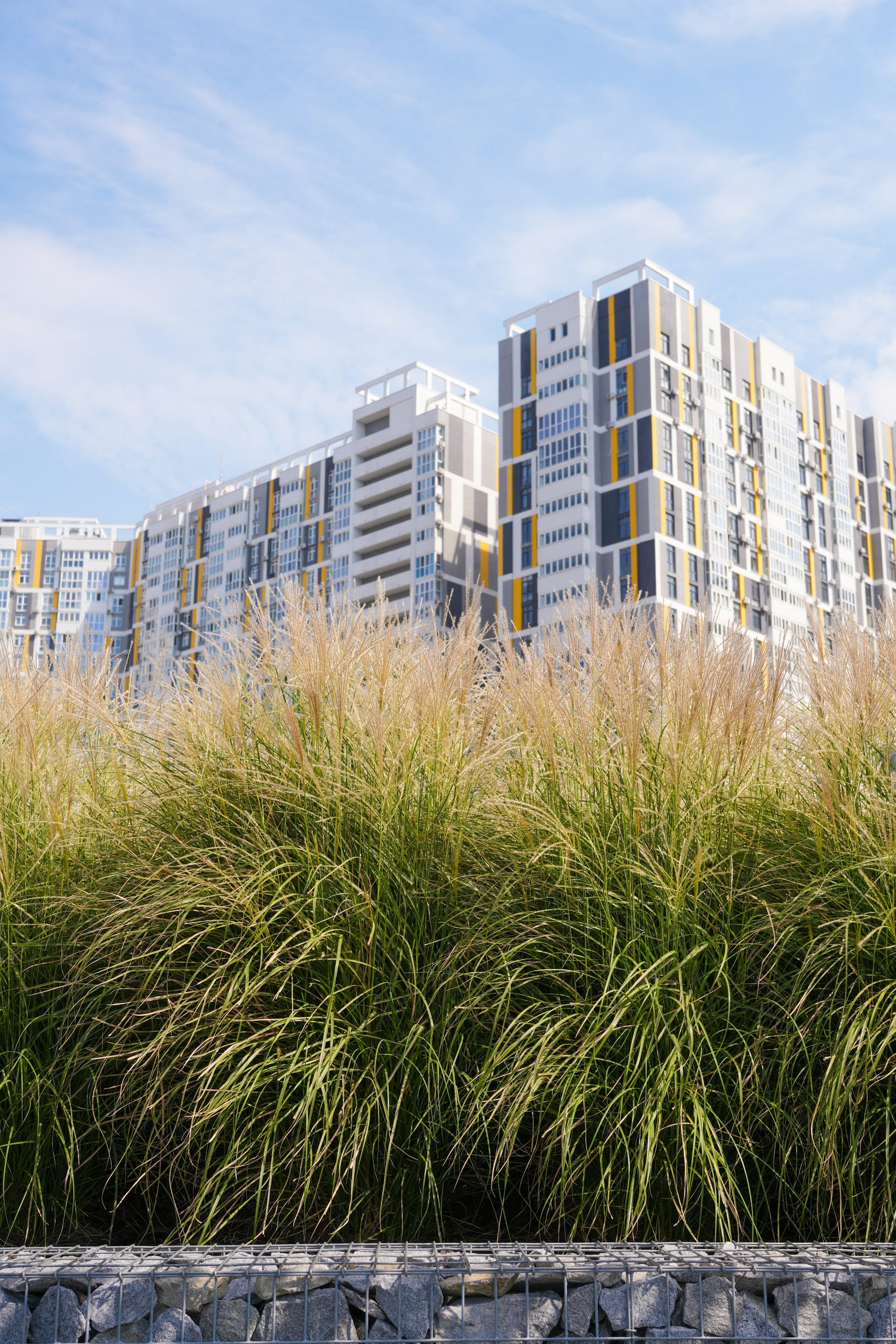 Mahindra Blossom, 2 to 4 BHK in Whitefield